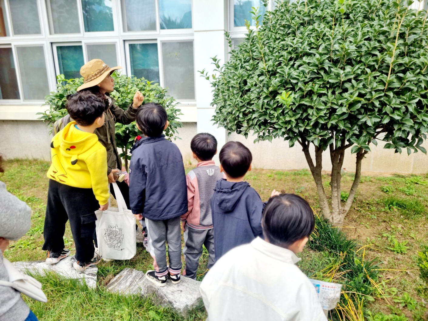 [석전초등학교병설유치원-1706(첨부)]열매와씨앗을찾아보는사진1.jpg