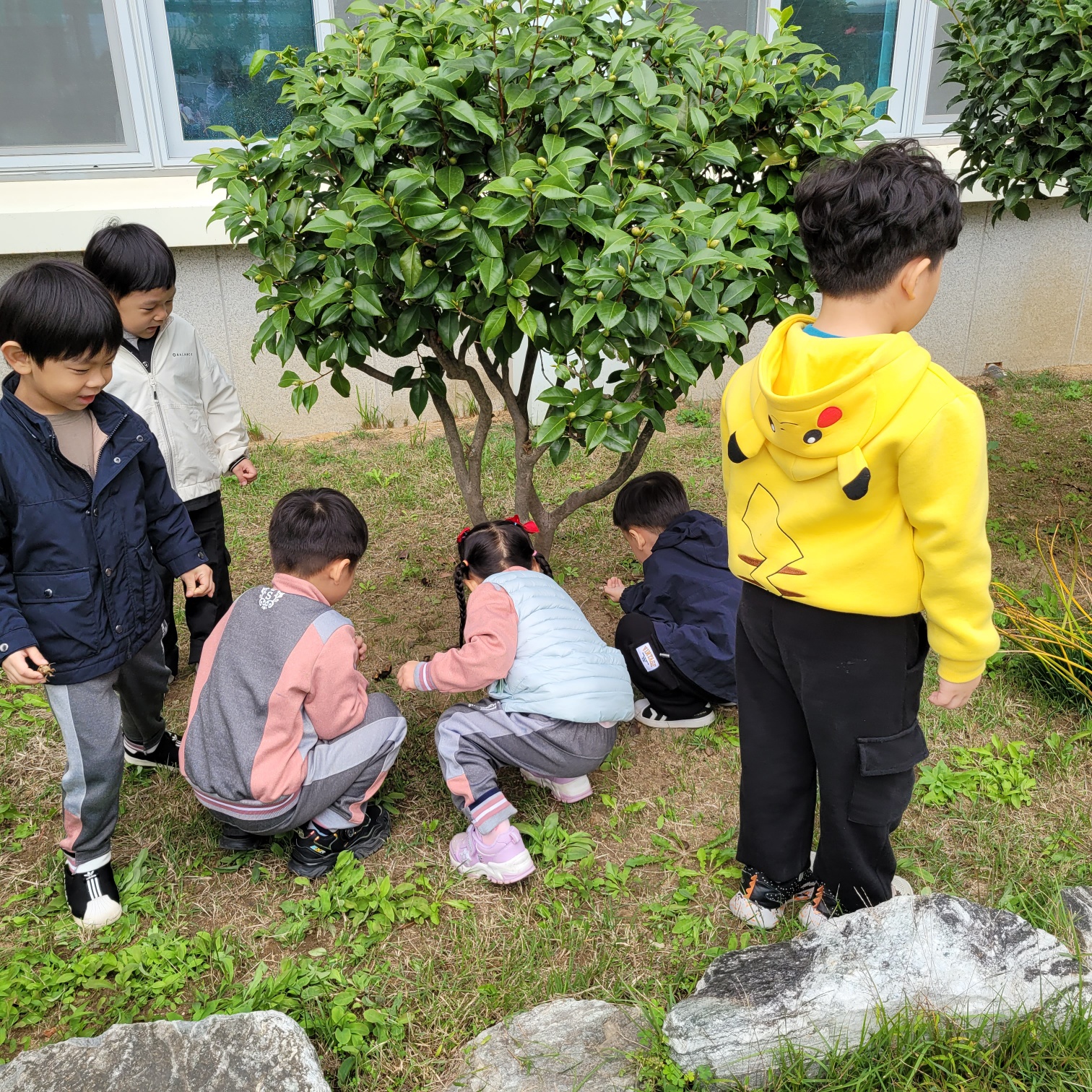 [석전초등학교병설유치원-1706(첨부)]열매와씨앗을찾아보는사진3.jpg