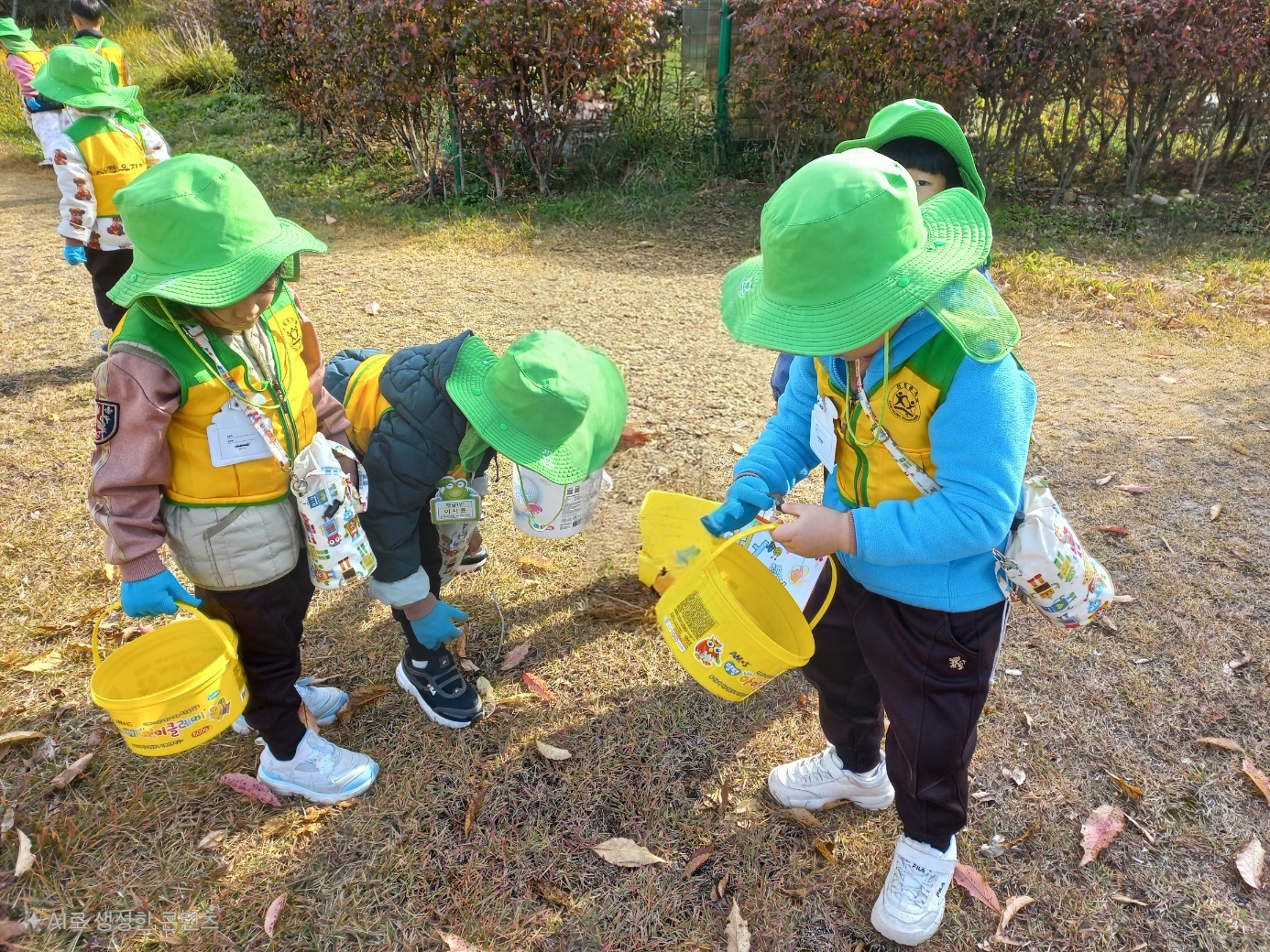 숲체험및환경캠페인보도자료(1).jpg